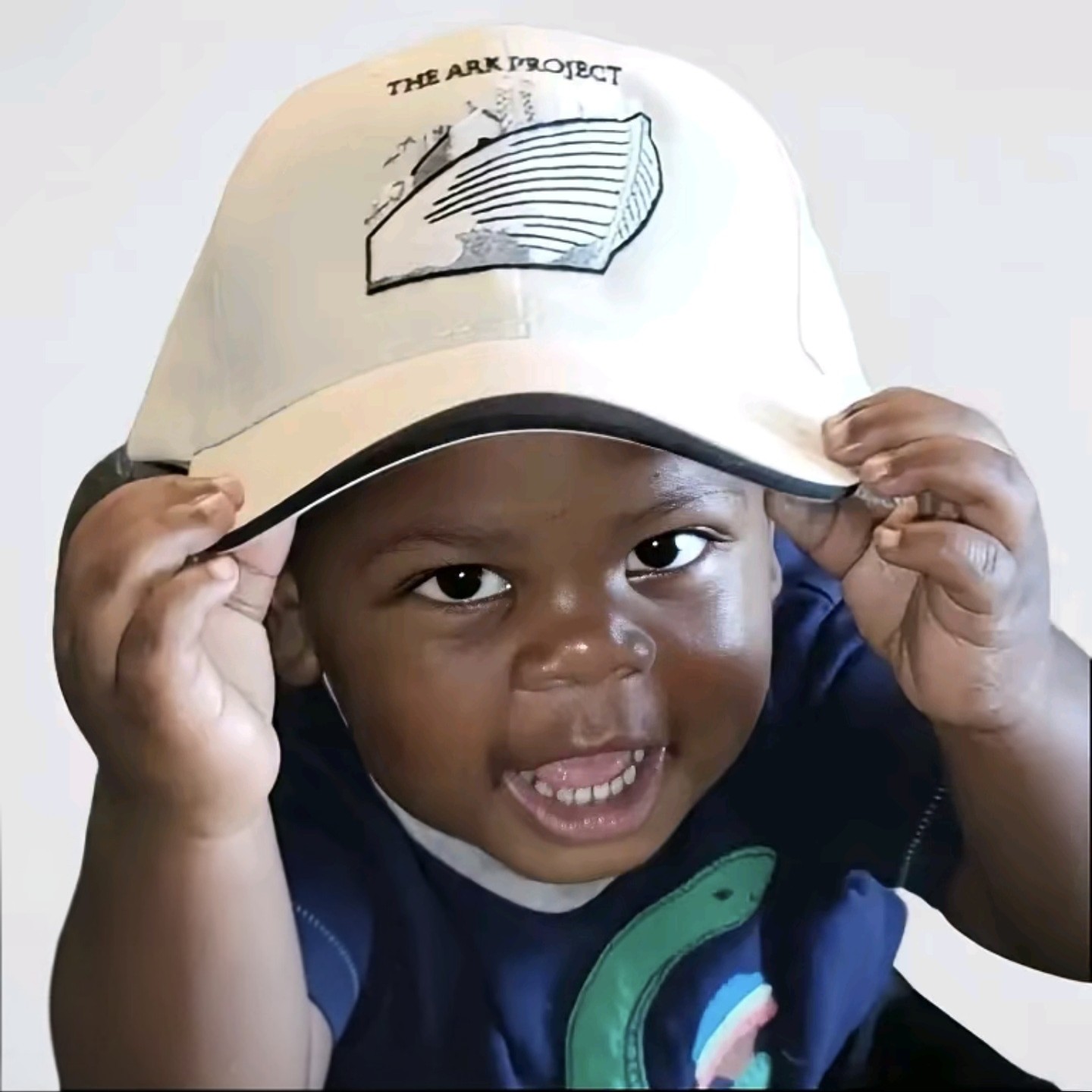 The ARK Project Embroidered Cap — Featured View
