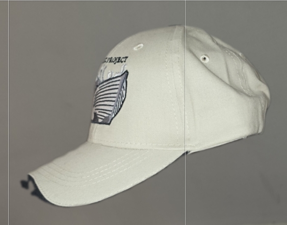 The ARK Project Embroidered Cap — Side View
